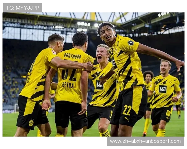 德甲球队旗下品牌战略及赞助合作说明 德甲球队旗下品牌战略及赞助合作说明