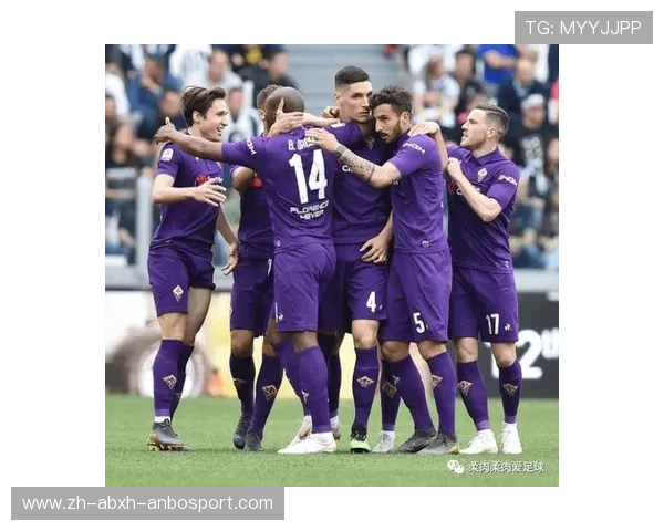 意甲球队利益分配图片：意甲球队的利益分配情况与图表解析