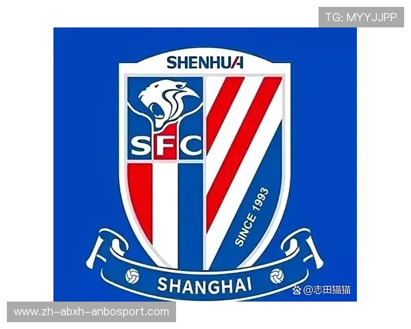 申花队2009赛季中超联赛战绩与阵容全纪录