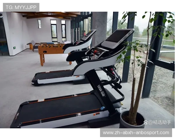 老年人专用室内健身器材精选推荐